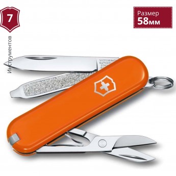 Нож-брелок VICTORINOX CLASSIC SD 0.6223.83G